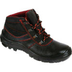 پوتین ایمنی